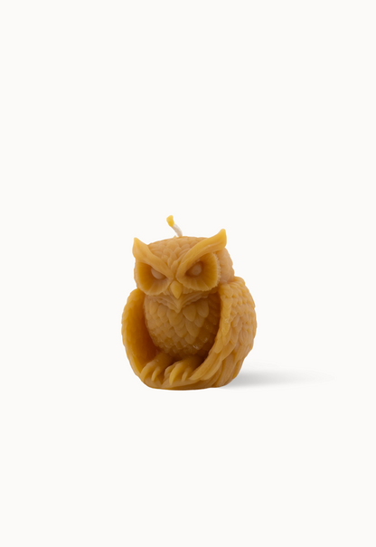Bougie Hibou