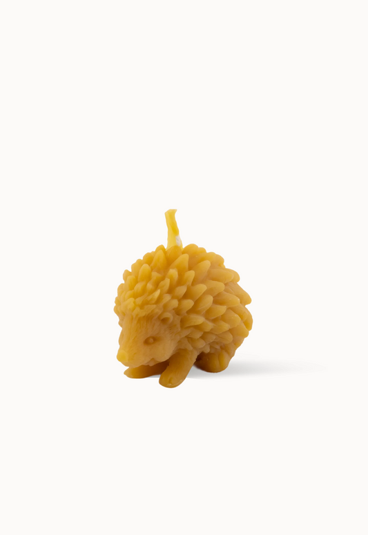 Bougie petit hérisson