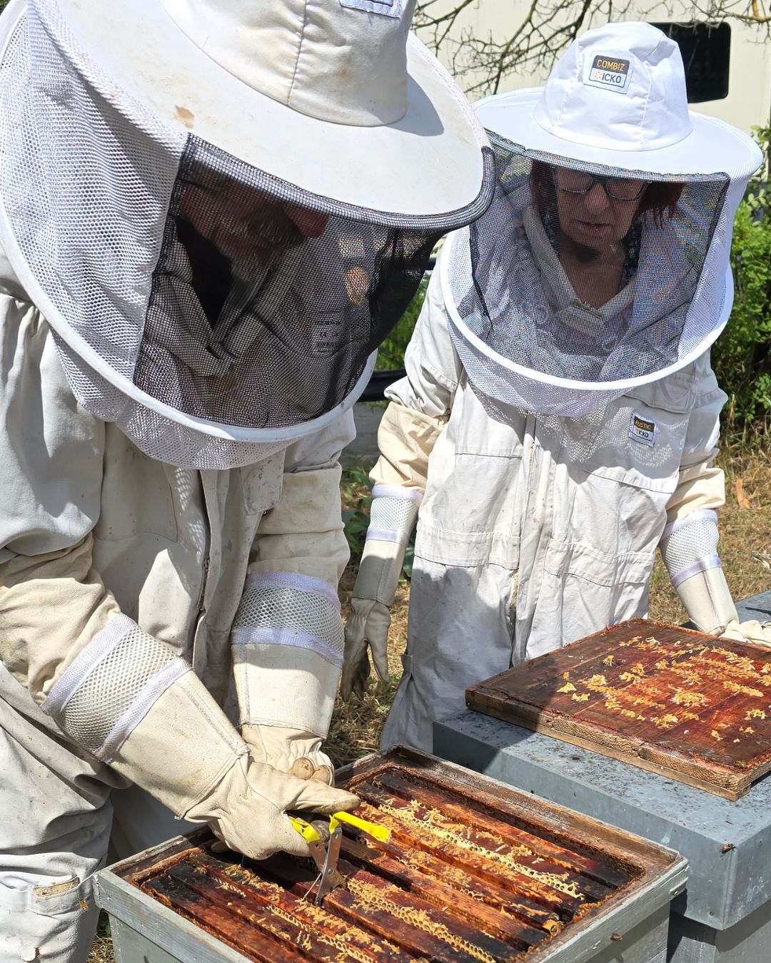 Nicole et Armand en train de s'occuper des ruches